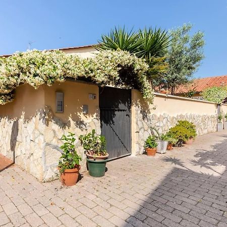 Apartamento Casa “Oasi Del Mare” Livorno Exterior foto